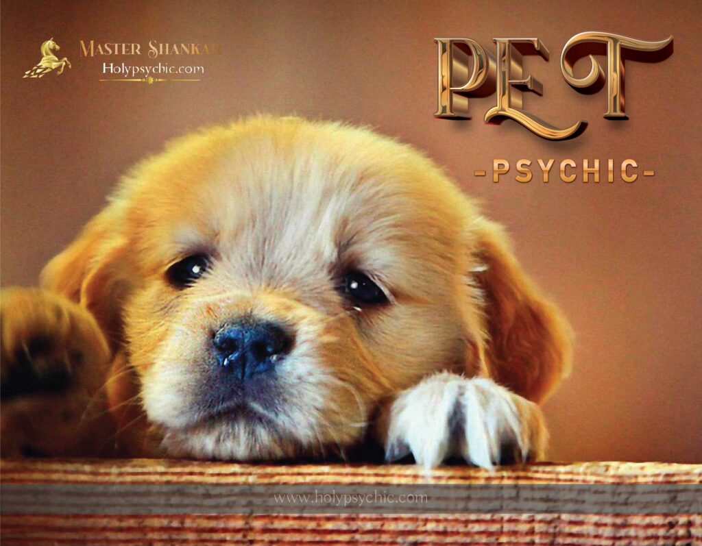 Pet Psychic